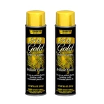 Chase 8-1/2-OUNCE Brilliant Finish Metallic Spray 8.5 (pack Of 2), Gold New. Price: $31.91.