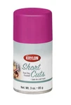Krylon Short Cuts Fast Dry Enamel Gloss Spray Paint, Hot Pink, 3 Oz. New. Price: $8.95.