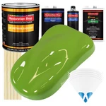 Sublime Green Gallon Urethane Basecoat Clearcoat Car Auto Paint Kit New. Price: $353.99.