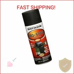 Rust-oleum 249310 Automotive Bbq & Stove Spray Paint, 12 Oz, Black New. Price: $30.10.