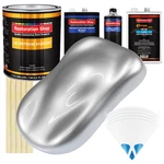 Iridium Silver Metallic Slow 1 Gallon Auto Paint Kit Urethane Basecoat Clearcoat New. Price: $377.99.