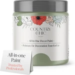 Country Chic All-in-one Chalk Paint For Furniture, Home Decor, Eco-friendly, New. Price: $23.95.
