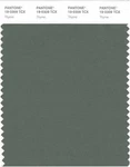 Pantone Smart 19-0309X Color Swatch Card, Thyme New. Price: $17.86.