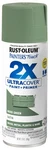 Rust-oleum 249071 Painter's Touch 2X 12 Ounce (pack Of 1), Satin Moss Green New. Price: $13.99.