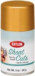 Krylon KSCS029 Short Cuts Aerosol Spray Paint, Gold Leaf, 3 Ounce New. Price: $18.99.