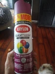 Krylon Colormaster 3474 Matte Boysenberry Paint & Primer Spray - 15 Oz New. Price: $18.99.