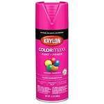 Krylon Colormaxx Gloss Mambo Pink Spray Paint & Primer (K05528007) New. Price: $15.95.