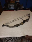 Golden Eagle Predator System Compound Bow Used. Price: $89.99.