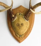 Taxidermists Woodshop Ttw Ultimate Antler Mounting Kit - Medium Oak Red New. Price: $59.02.