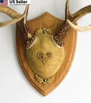 Taxidermists Woodshop Ttw Ultimate Antler Mounting Kit - Medium Oak Red New. Price: $53.16.