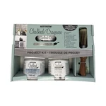 Chalked Ultra Matte Paint Project Kit New. Price: $30.60.