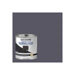Rust-oleum Painters Gloss Dark Gray Water-based Latex Ultra Cover 1986730 New. Price: $19.95.