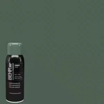 Behr Premium Congo Gloss Interior/exterior Spray Paint & Primer - 12 Oz. New. Price: $10.97.