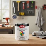 Colormaxx Gloss White Brush-on Paint, 32 Fl Oz Fast-drying For All Surfaces New. Price: $39.99.