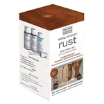 Modern Masters 306293 Metal Effects Rust Finish Kit 2OZ New. Price: $25.97.