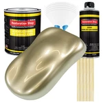 Restoration Shop Champagne Gold Metallic Acrylic Enamel Gallon Kit, Auto Paint New. Price: $203.99.