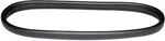 Replacement Floor Brush Bumper Guard Designed To Fit Rainbow Rexair D4 New. Price: $5.95.