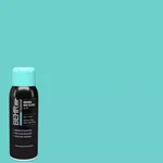 Behr Premiumhidden Sea Glass Gloss Spray Paint, Turquoise / Aqua - 12 Oz. Price: $10.42.