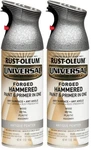 Rust-oleum 271481 Universal All Surface 12 Ounce (pack Of 2), Antique Pewter New. Price: $38.44.