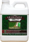 Nvirocolor 4EVERGREEN Grass Colorant/turf Paint 32 Oz Concentrate Covers 1,000 New. Price: $29.99.