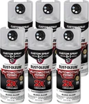 Rust-oleum 2X Automotive Enamel Custom Spray 5-IN-1 Paint, 12 Oz, Gloss Cl New. Price: $86.29.