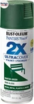 249853 Painter's Touch 2X Ultra Cover Spray Paint, 12 Oz, Semi-gloss Hunter Gree New. Price: $28.66.