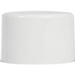 Touch 'n Tone 55280830 Spray Paint, Flat, White, 10 Oz, Can New. Price: $14.49.