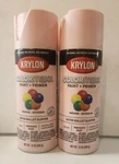 Krylon Colormaxx Spray Paint + Primer, Gloss Ballet Slipper Two 12 Oz. Cans New. Price: $15.99.