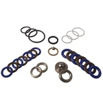 248213 Pump Repair Packing Kit,for Graco 1095 5900 1595 10000 Airless Paint S... New. Price: $76.10.